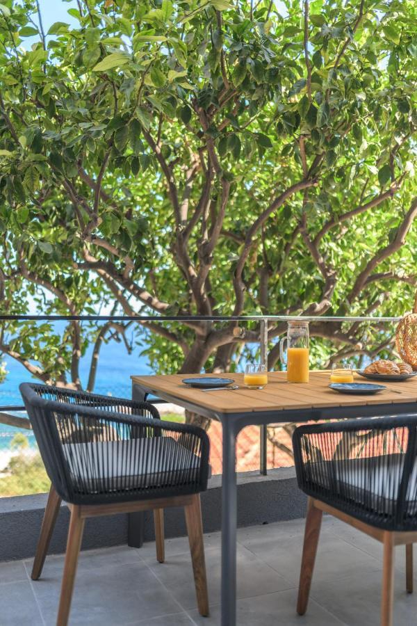 Proche Monaco, Vue Mer, Acces Plage Et Jardin Privatif Saint-Antoine  ภายนอก รูปภาพ